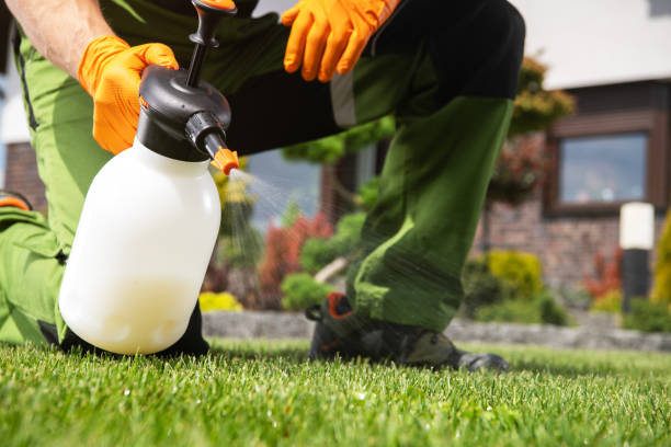 Best Pest Prevention Services  in West Union, OH