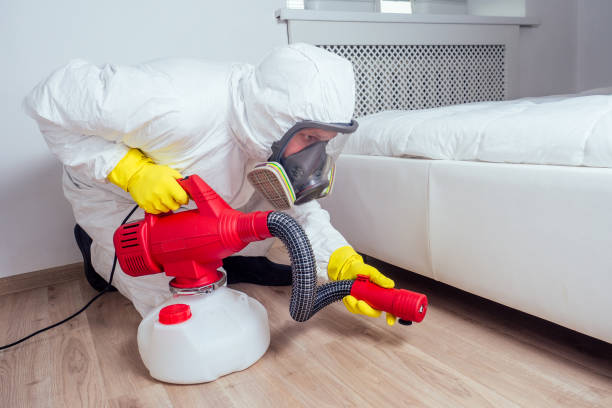 Best Wasp Removal Services  in West Union, OH